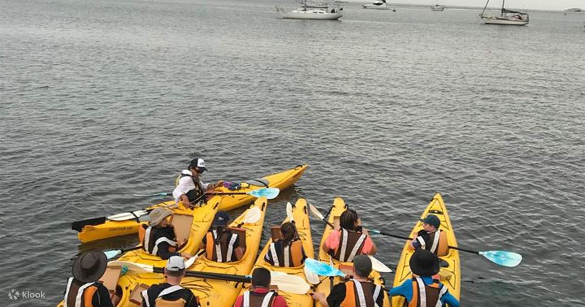 Clyde River Oyster Tasting and Kayaking Tour Klook 客路